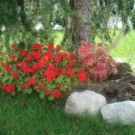 Bauernhof Ai Casali *